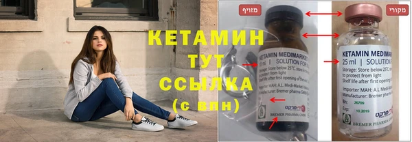 крисы Алексин