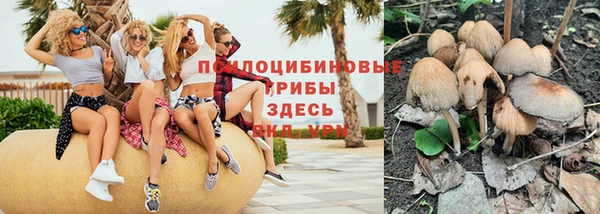ГАЛЛЮЦИНОГЕННЫЕ ГРИБЫ Алексеевка