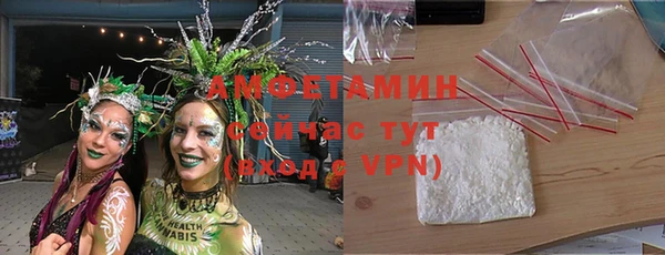 крисы Алексин