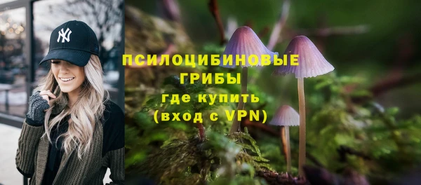 крисы Алексин